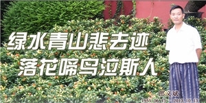 邵義斌，綠水青山悲去跡，落花啼鳥泣斯人。