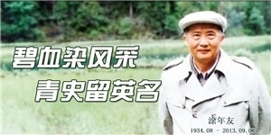 涂年友，碧血染風采，青史留英名。