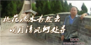 張青海，桃花流水杳然去，明月清風(fēng)何處尋 。